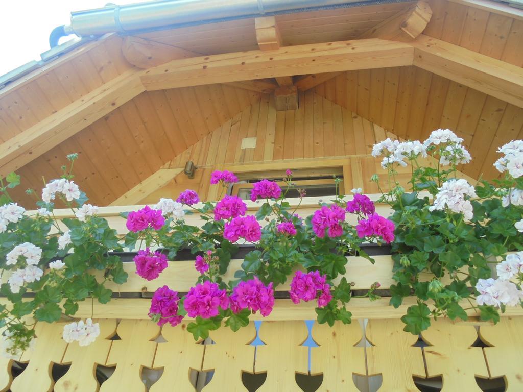 Farmhouse Pri Miklavu Bohinj Extérieur photo